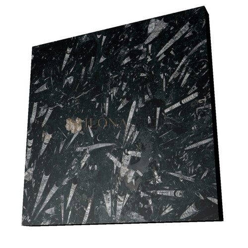 Кварцит Титаниум Блю (Titanium Blue) черный